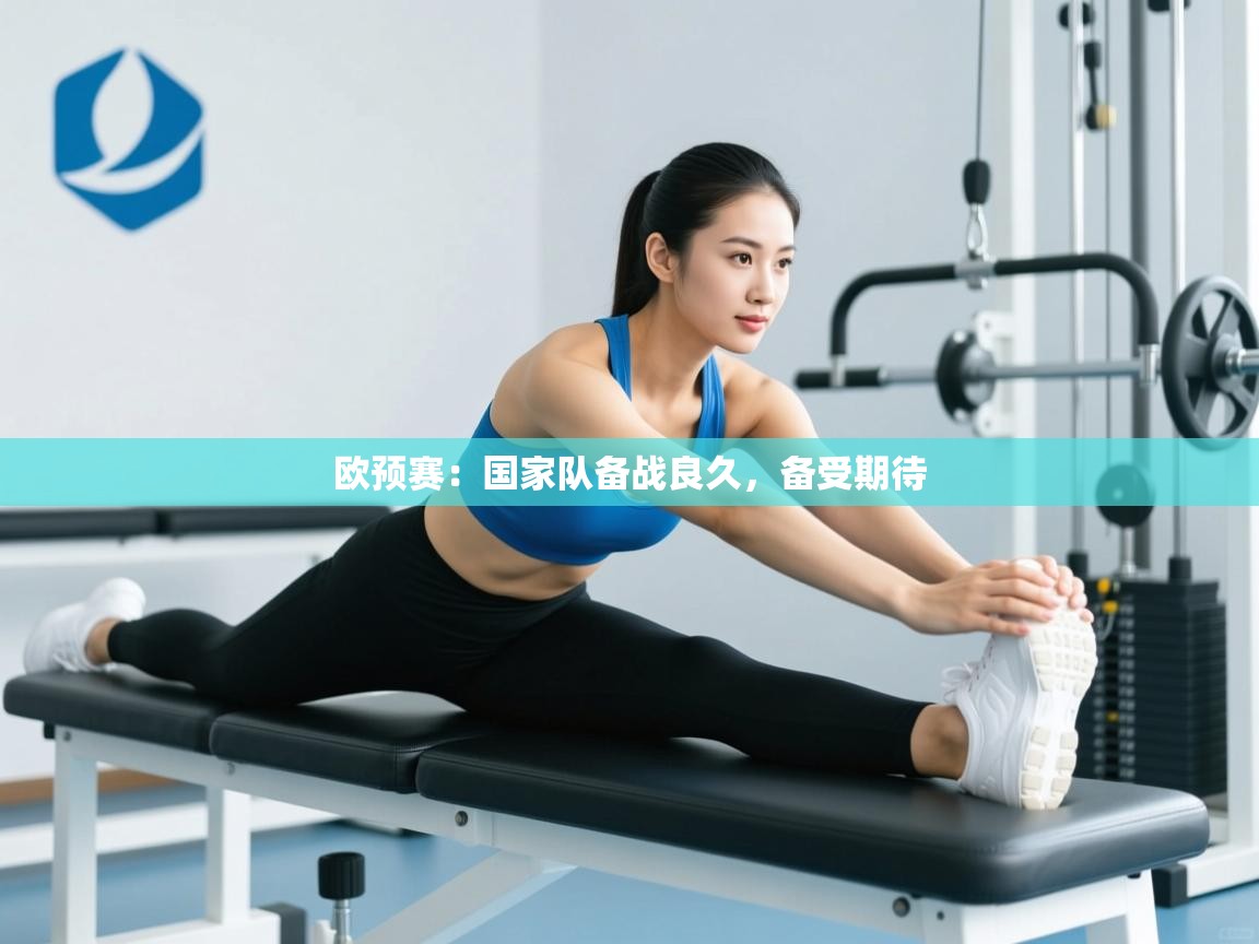 欧预赛:国家队备战良久,备受期待 第2张